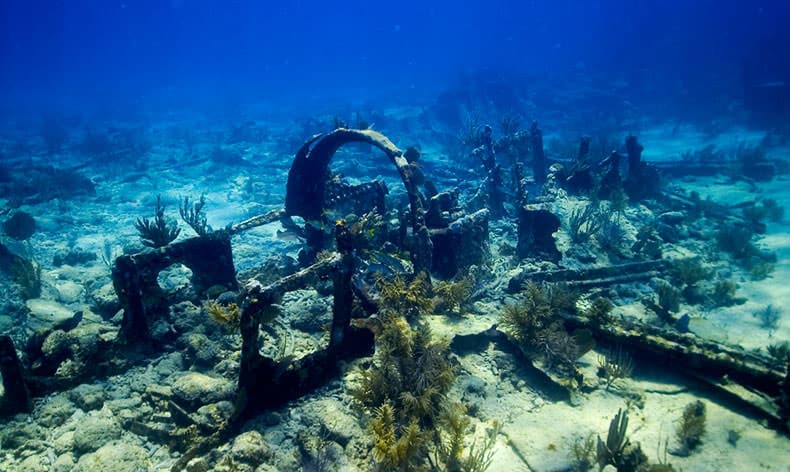 Florida Keys National Marine Sanctuary