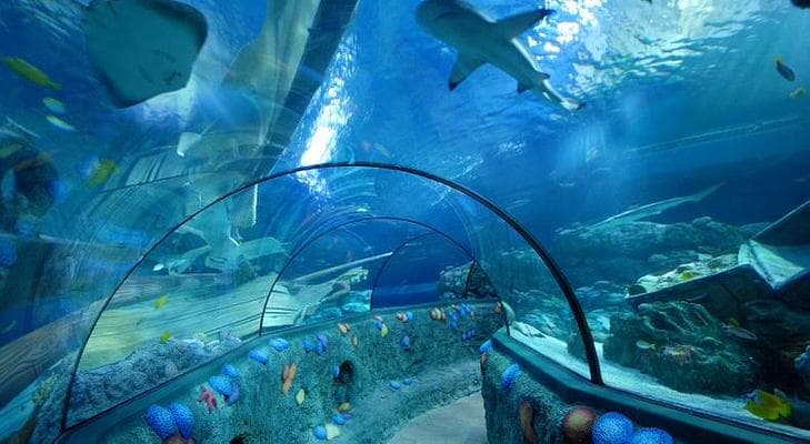 SEA LIFE Orlando